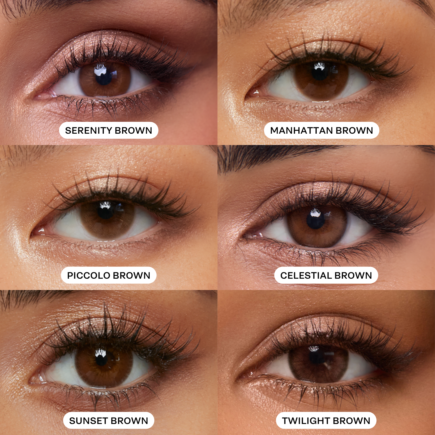 【新品】MOON TREE PLANET - ZUKIN brown Brown Lenses Discovery Set | Dimple Color Contact Lenses