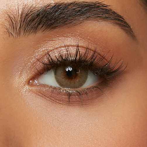 Hazel Color Contacts | Burnt Butter Hazel - Dimple – Dimple Color