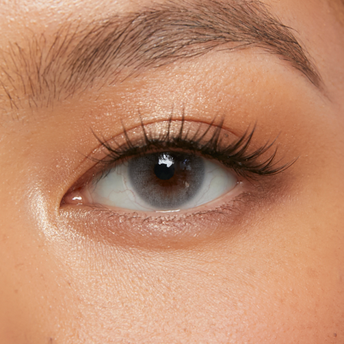 هاسكي رمادي (3 أشهر)