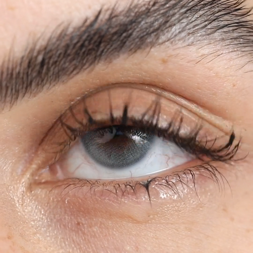 هاسكي رمادي (3 أشهر)